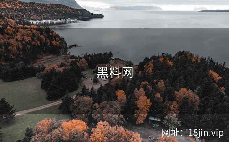 黑料网