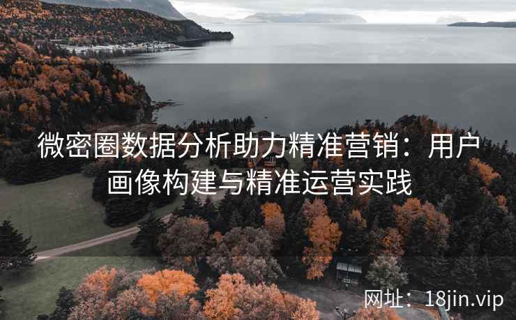微密圈数据分析助力精准营销：用户画像构建与精准运营实践
