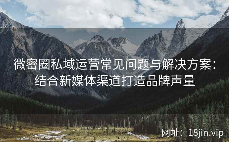 微密圈私域运营常见问题与解决方案：结合新媒体渠道打造品牌声量