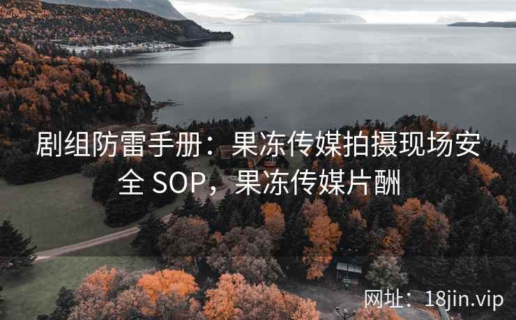 剧组防雷手册：果冻传媒拍摄现场安全 SOP，果冻传媒片酬