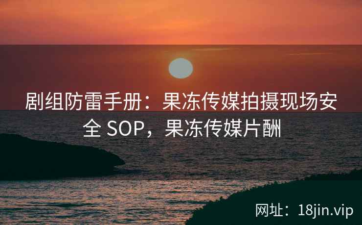 剧组防雷手册：果冻传媒拍摄现场安全 SOP，果冻传媒片酬
