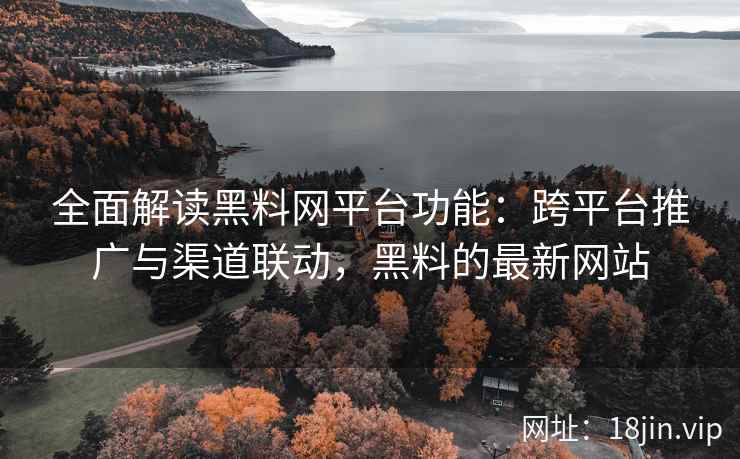 全面解读黑料网平台功能：跨平台推广与渠道联动，黑料的最新网站