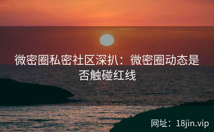 微密圈私密社区深扒：微密圈动态是否触碰红线