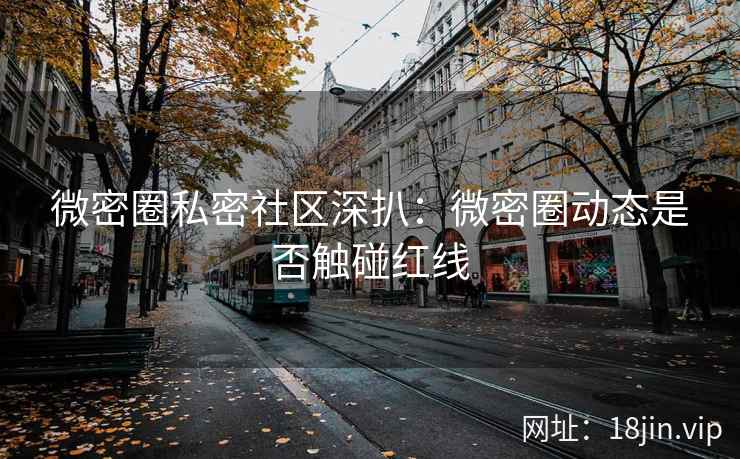 微密圈私密社区深扒：微密圈动态是否触碰红线