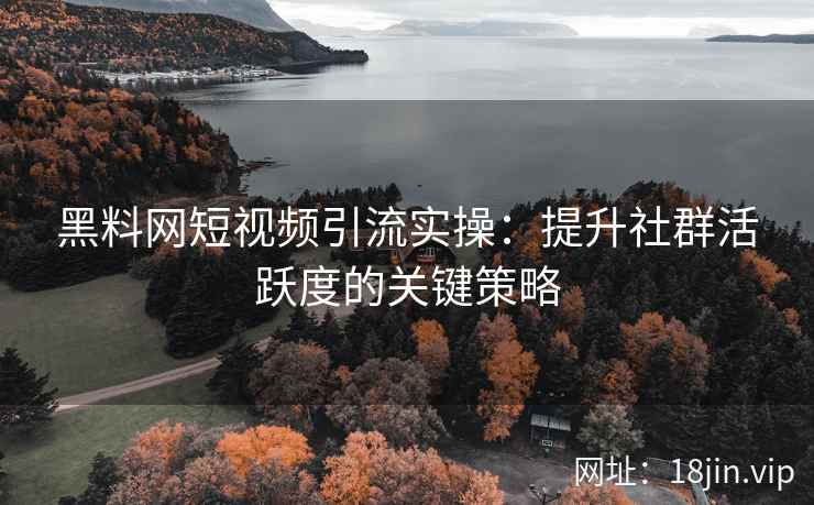 黑料网短视频引流实操：提升社群活跃度的关键策略