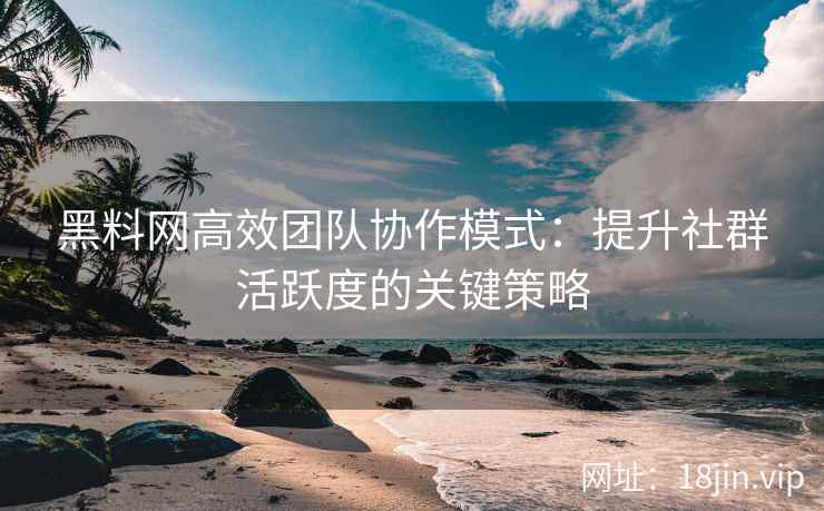 黑料网高效团队协作模式：提升社群活跃度的关键策略