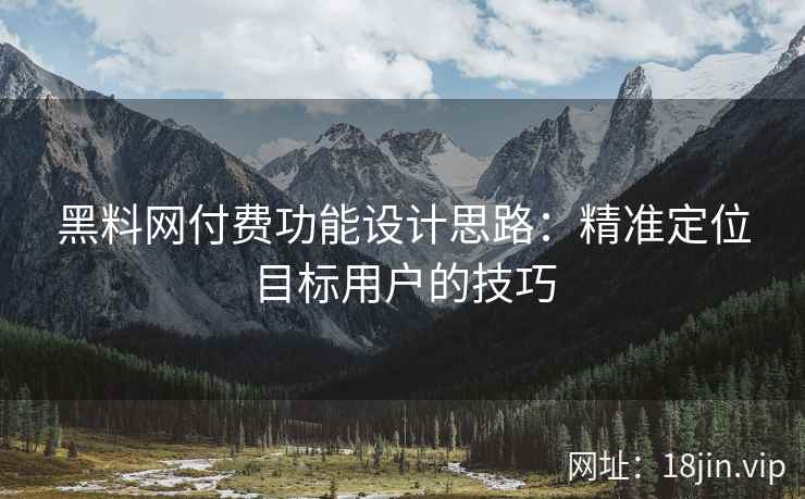 黑料网付费功能设计思路：精准定位目标用户的技巧