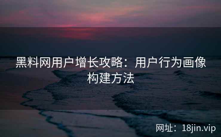 黑料网用户增长攻略：用户行为画像构建方法