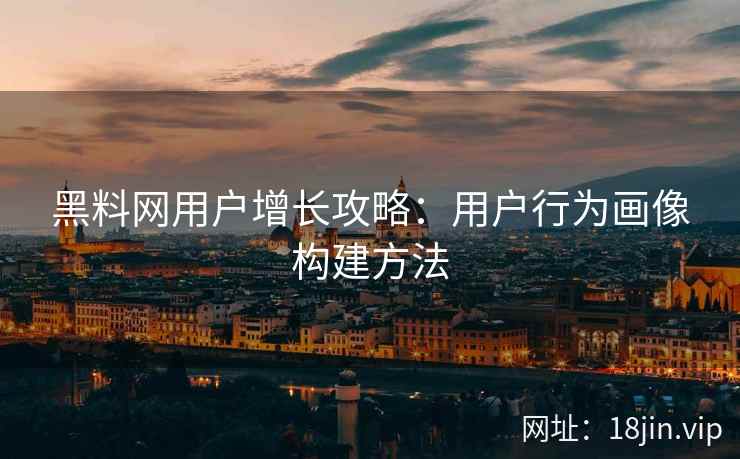 黑料网用户增长攻略：用户行为画像构建方法