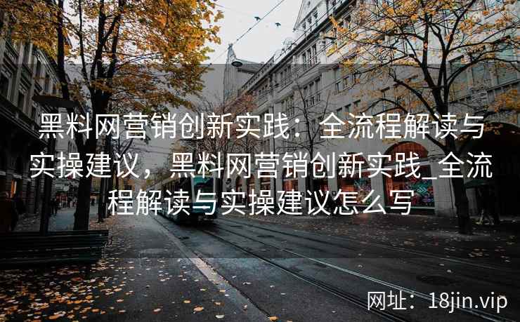 黑料网营销创新实践：全流程解读与实操建议，黑料网营销创新实践_全流程解读与实操建议怎么写
