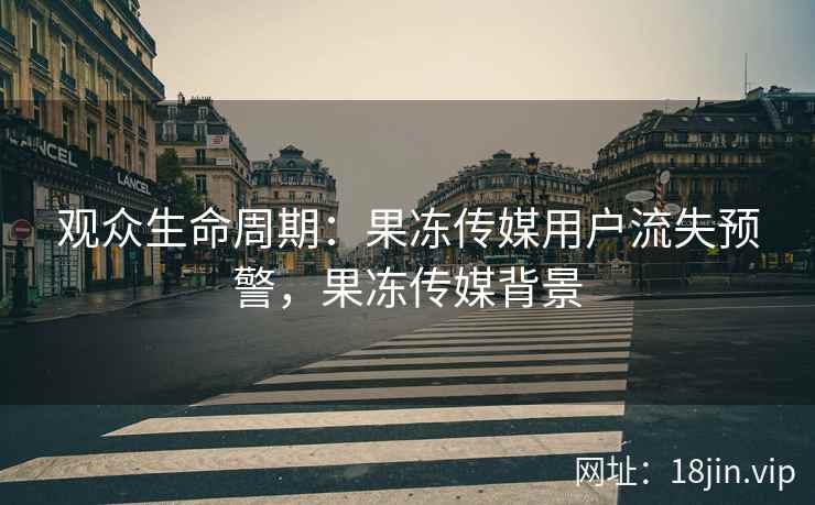 观众生命周期：果冻传媒用户流失预警，果冻传媒背景