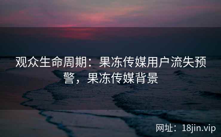 观众生命周期：果冻传媒用户流失预警，果冻传媒背景