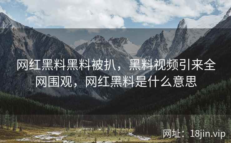 网红黑料黑料被扒，黑料视频引来全网围观，网红黑料是什么意思